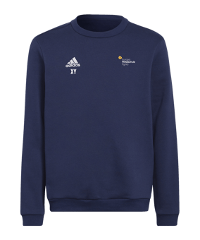 adidas Entrada 22 Sweatshirt Kids Blau