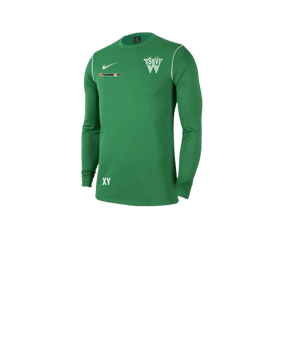 Nike Park 20 Sweatshirt Kids Grün Weiss F302