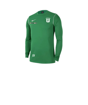 Nike Park 20 Sweatshirt Kids Grün Weiss F302