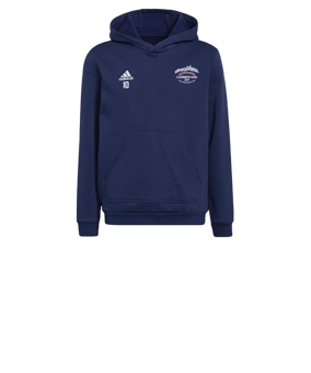 Sweat à capuche enfant adidas Entrada 22 Bleu 