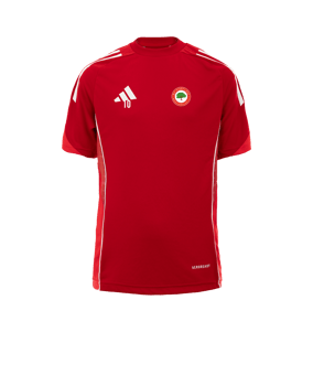 adidas Tiro 25 Competition Trainingsshirt Rot