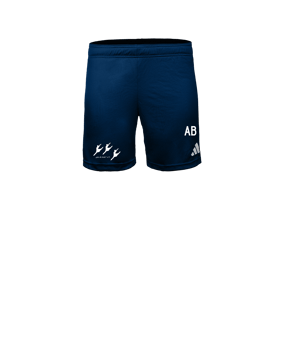 adidas Entrada 26 Short Damen Dunkelblau