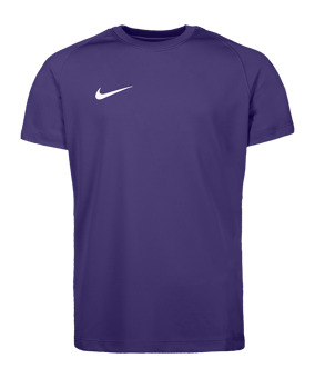 Nike Park VIII Trikot Kids Lila F547 - lila