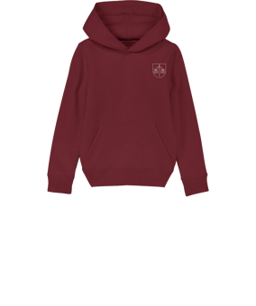 Merch Mini Cruiser 2.0 Hoody Kids Burgundy | #justlogo1c