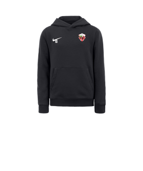 Sweat à capuche en polaire Nike Park 20 enfants Gris blanc F071