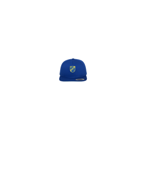 Merch 5 Panel Classic Snapback Cap Royal Green