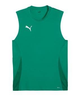 PUMA TeamGoal Trikot Grün F05 - gruen