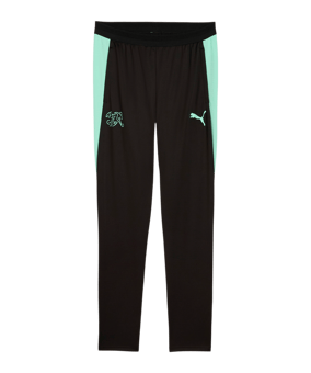 PUMA SFV Schweiz Trainingshose Schwarz F10 - schwarz