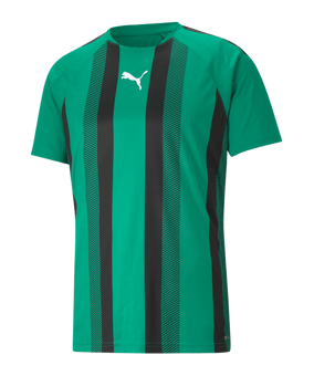 PUMA teamLIGA Striped Trikot Grün Schwarz F05 - gruen