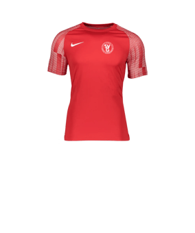 Nike Academy Trikot Kids Rot Weiss F657