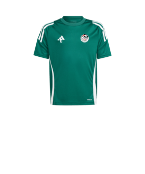 adidas Tiro 24 Maillot Enfants Vert 