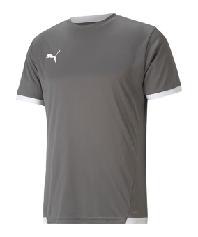PUMA teamLIGA Trikot Grau F13 - grau
