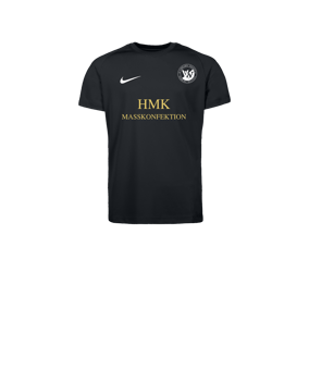 Nike Park VIII Trikot Kids Schwarz F010