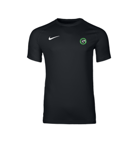 Nike Park VIII Trikot Schwarz F010