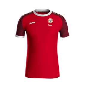 JAKO Iconic Trikot Rot F113