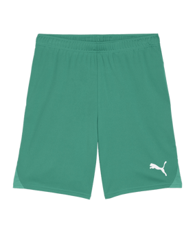 PUMA teamGOAL Short Grün Weiss F05 - gruen