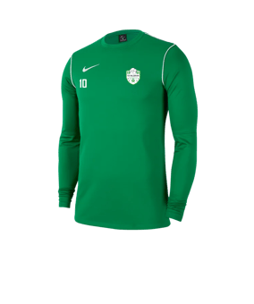 Nike Park 20 Training Sweatshirt Grün F302 