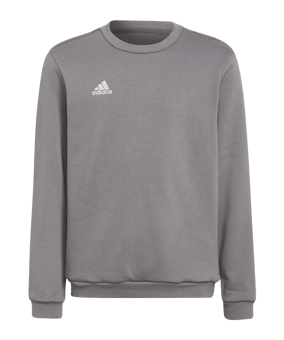 adidas Entrada 22 Sweatshirt Kids Grau - grau