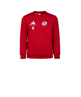 adidas Entrada 26 Sweatshirt Kids Rot