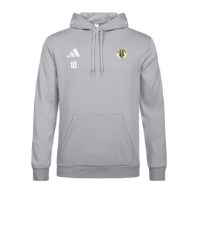 adidas Entrada 26 Hoody Grau