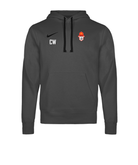 Nike Park 26 Hoody Grau F063