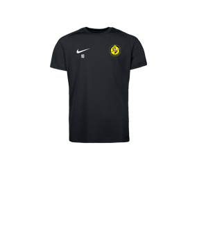 Nike Park VIII Maillot Enfants Noir C010