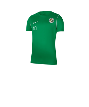 Nike Park 20 T-Shirt Kids Grün F302