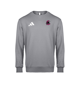 adidas Entrada 26 Sweatshirt Grau