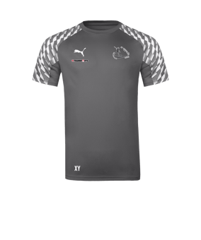 PUMA teamLIGA26 Trikot Grau F13