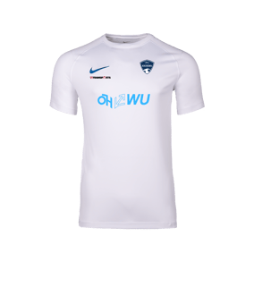 Nike Park VIII Trikot Weiß F104