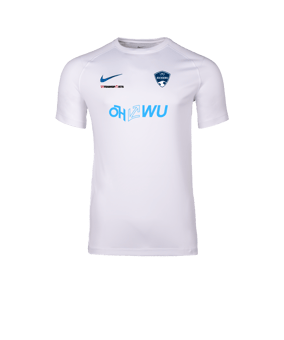 Nike Park VIII Trikot Weiß F104