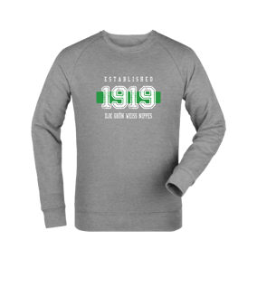 Merch Roller Sweatshirt Heather Grey FC250