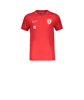 Nike Academy Trainingsshirt Kids Rot F657