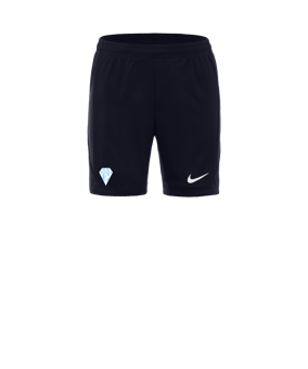 Nike Court Femmes Bleu C451 
