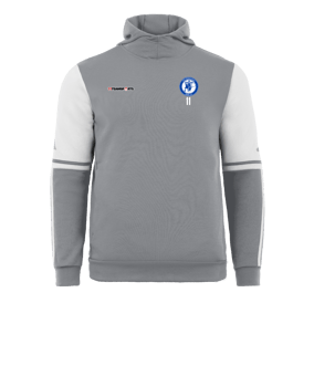adidas Squadra 25 Hoody Grau