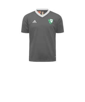 adidas Entrada 22 Trikot Kids Grau Weiss