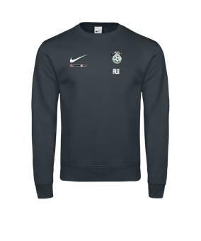 Nike Park 26 Sweatshirt Grau F071