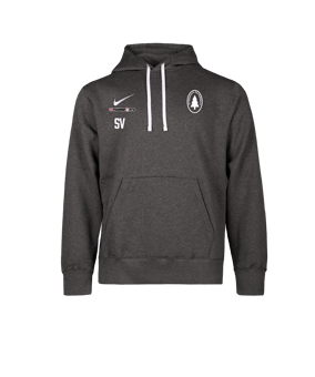 Nike Park 26 Hoody Grau F071