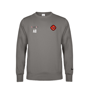 Nike Park 26 Swoosh Sweatshirt Grau F063