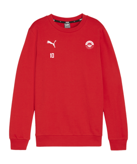 PUMA teamGOAL Casuals Sweatshirt Kids Rpt F01