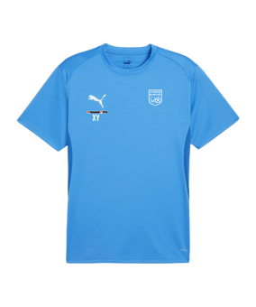PUMA teamGOAL Trikot Blau F02