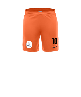 Nike Park III Short Orange F819
