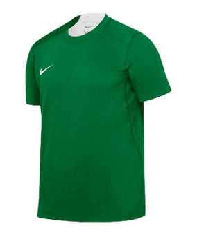 Nike Team Court Trikot Grün F302 - gruen