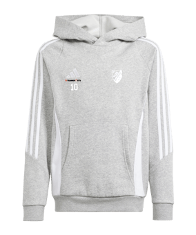 adidas Tiro 24 Hoody Kids Grau Weiss