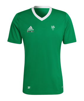 adidas Entrada 22 Trikot Grün