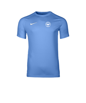 Nike Park VIII Trikot Blau F412
