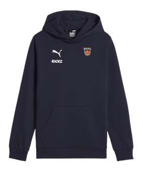 PUMA teamGOAL Casuals Hoody Kids Blau F06