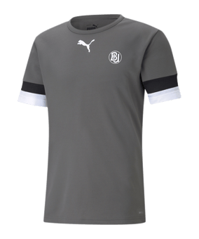 PUMA teamRISE Trikot Grau F13