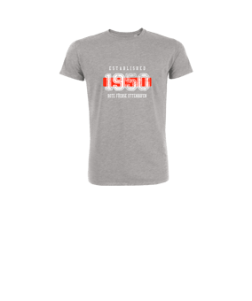 Merch Mini Creator 2.0 T-Shirt Kids Heather Grey | #established