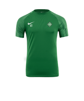 Nike Academy Trikot Grün Weiss F302